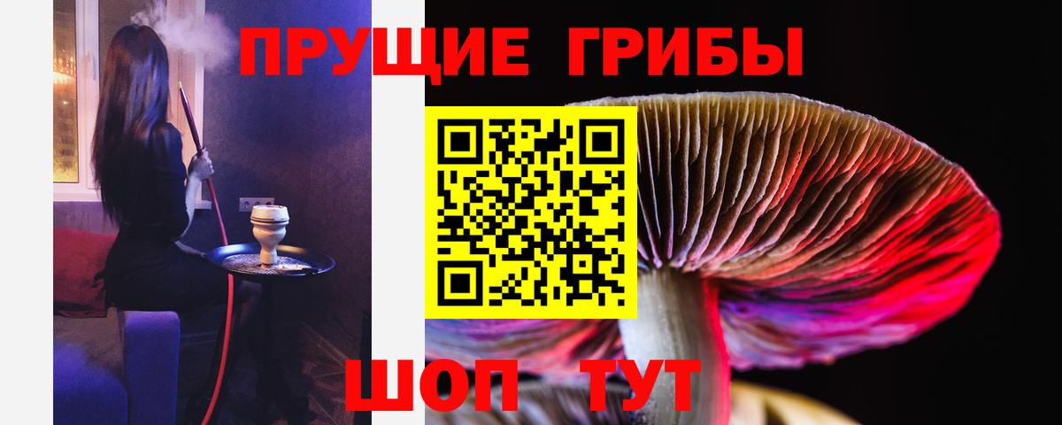 Галлюциногенные грибы ЛСД Ухта